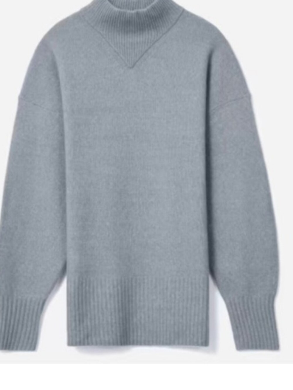Everlane Turtleneck Sweater in Pale Blue